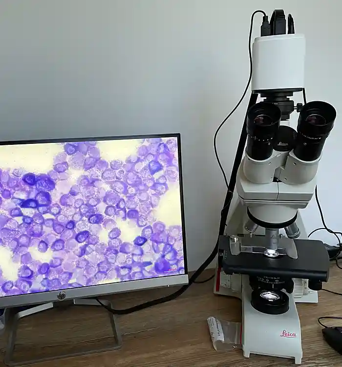 Mikroskop und Monitor