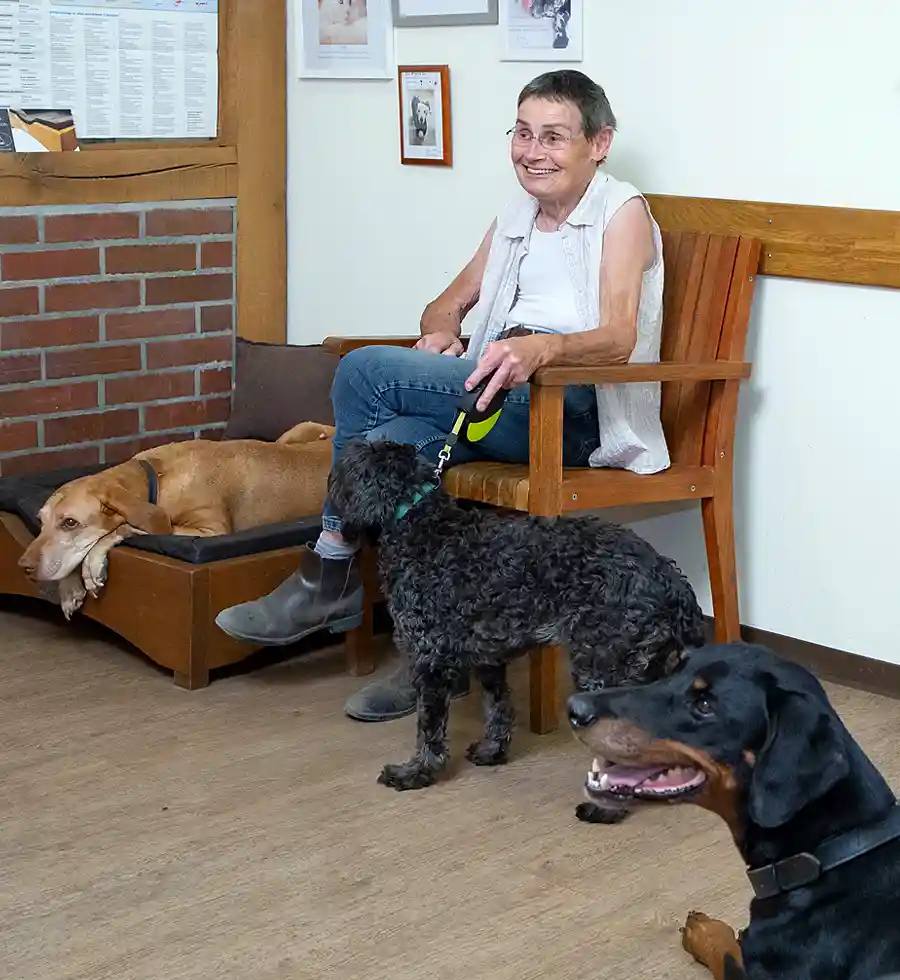 Frau und Hunde im Wartezimmer
